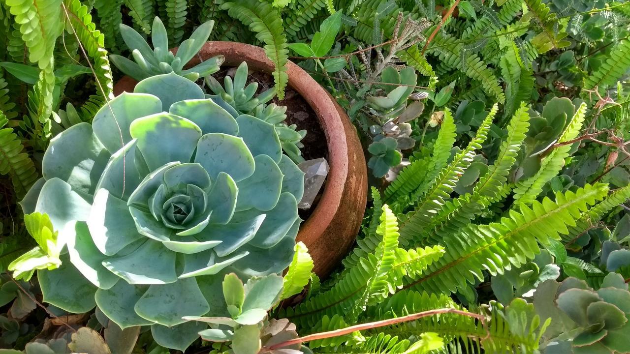 Pousada Refazenda - Milho Verde Luaran gambar